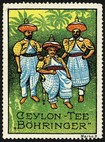 Bohringer Ceylon Tee Marke 08 (3 Manner)