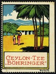 Bohringer Ceylon Tee Marke 10 (Haus und Palmen)