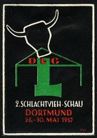 Dortmund 1957 2 Schlachtvieh Schau