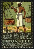 Lipton Tee (WK 02) Trager