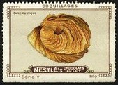Nestle Serie V No 09 Coquillages