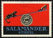 Salamander 08 Loe