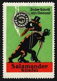 Salamander 11 Loe